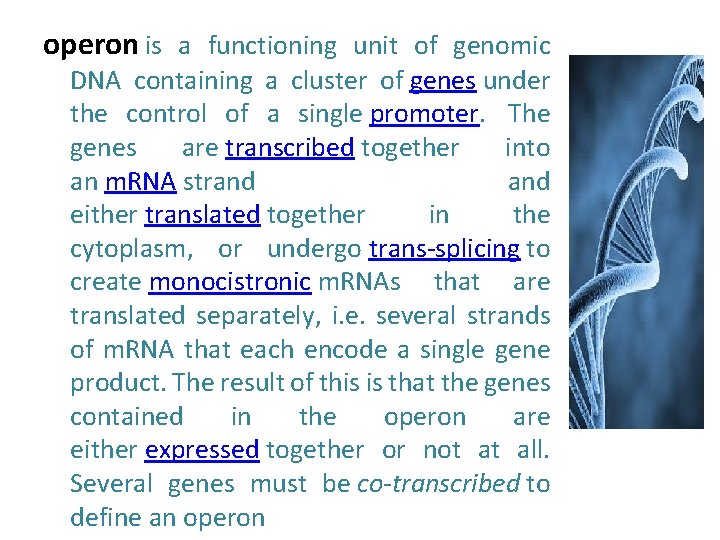 operon is a functioning unit of genomic DNA containing a cluster of genes under