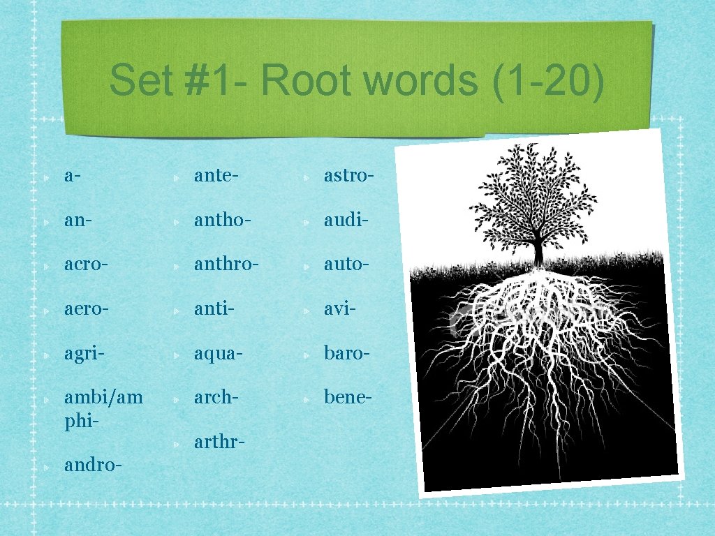 Set #1 - Root words (1 -20) a- ante- astro- antho- audi- acro- anthro-