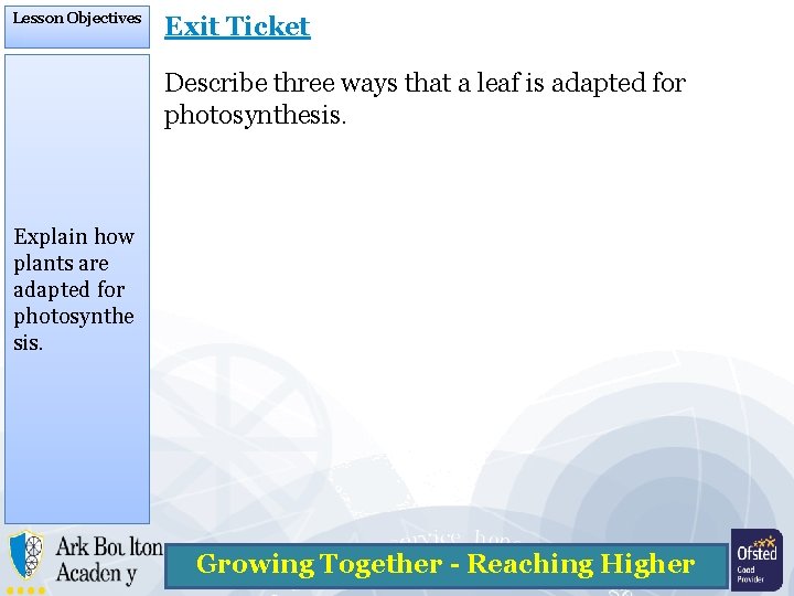 Lesson Objectives Exit Ticket Describe three ways that a leaf is adapted for photosynthesis.