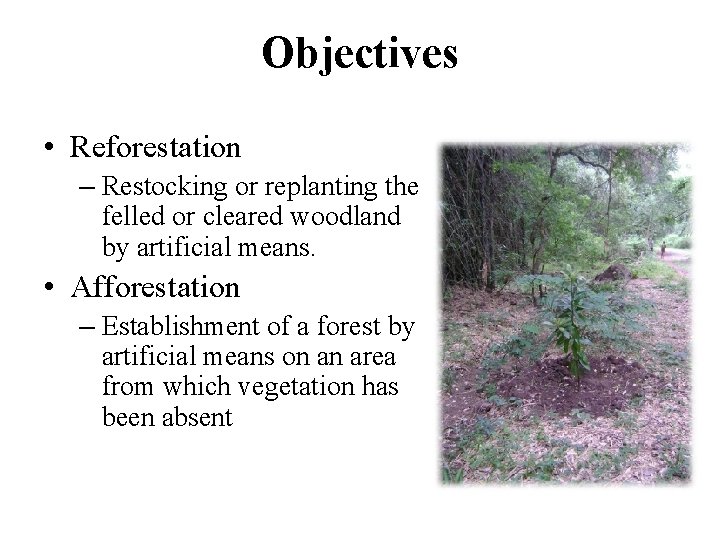 Objectives • Reforestation – Restocking or replanting the felled or cleared woodland by artificial