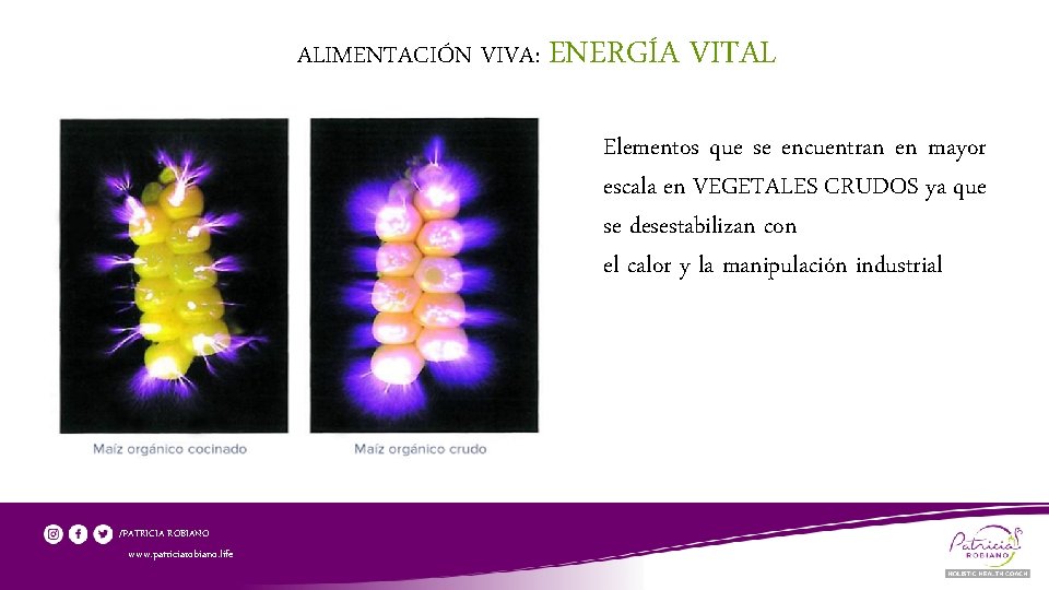 ALIMENTACIÓN VIVA: ENERGÍA VITAL Elementos que se encuentran en mayor escala en VEGETALES CRUDOS