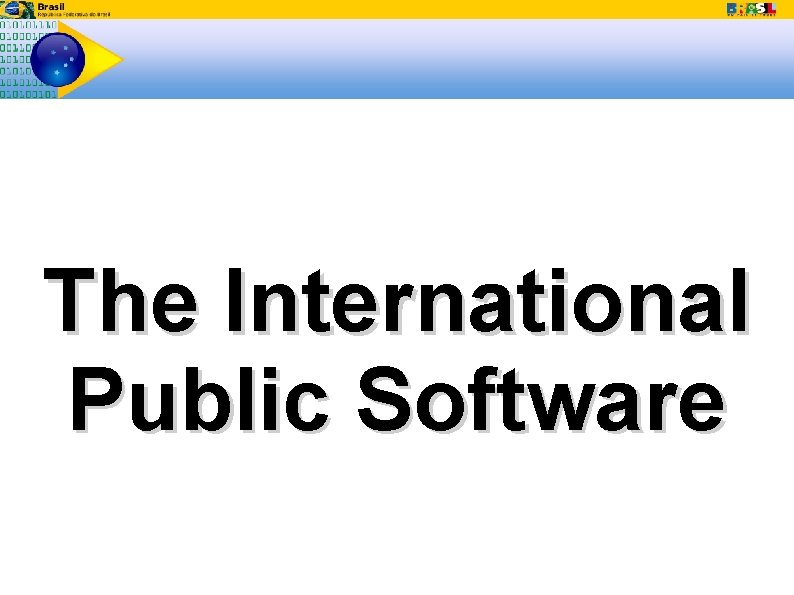 The International Public Software 