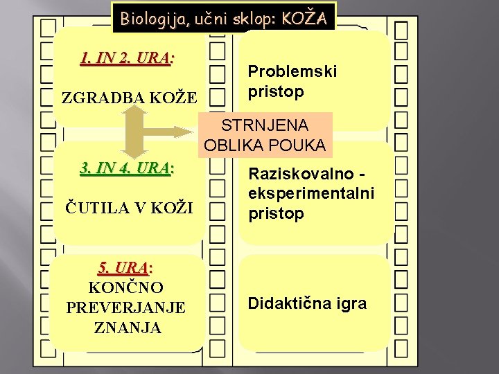 Biologija, učni sklop: KOŽA 1. IN 2. URA: ZGRADBA KOŽE Problemski pristop STRNJENA OBLIKA