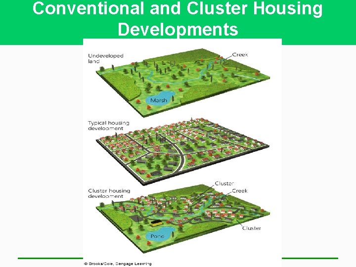 Conventional and Cluster Housing Developments 