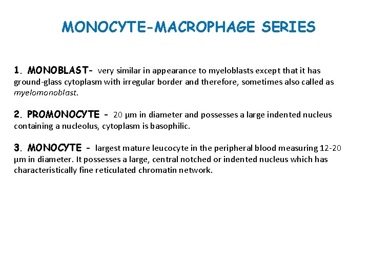 MONOCYTE-MACROPHAGE SERIES 1. MONOBLAST- very similar in appearance to myeloblasts except that it has