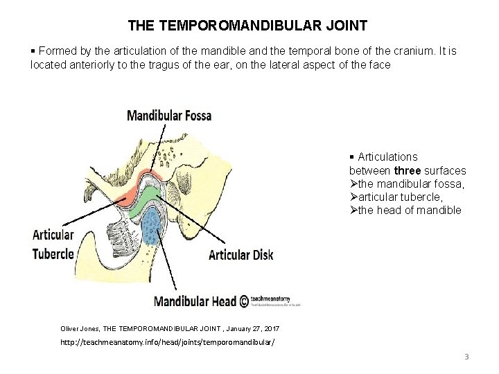 THE TEMPOROMANDIBULAR JOINT § Formed by the articulation of the mandible and the temporal
