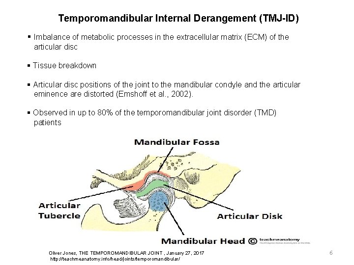 Temporomandibular Internal Derangement (TMJ-ID) § Imbalance of metabolic processes in the extracellular matrix (ECM)