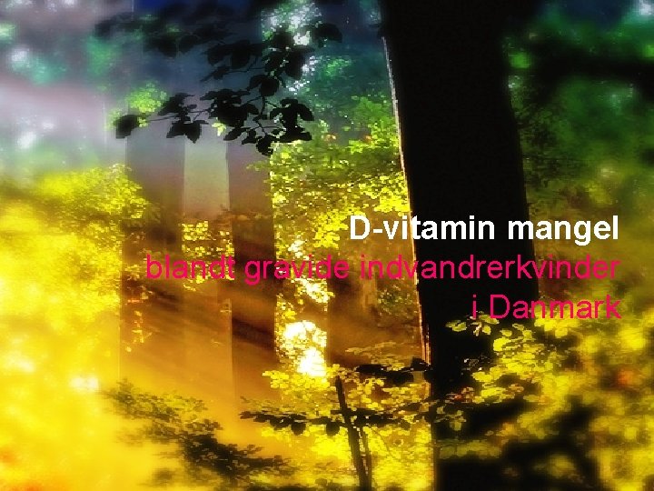 D-vitamin mangel blandt gravide indvandrerkvinder i Danmark 