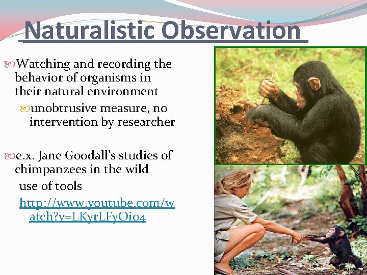 Naturalistic Observation Watching and recording the behavior of organisms in their natural environment unobtrusive