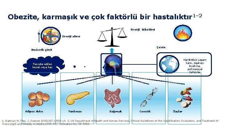 Obezite, karmaşık ve çok faktörlü bir hastalıktır 1– 2 Enerji tüketimi Enerji alımı Çevre