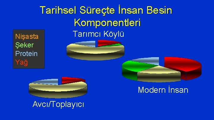 Tarihsel Süreçte İnsan Besin Komponentleri Nişasta Şeker Protein Yağ Tarımcı Köylü Modern İnsan Avcı/Toplayıcı