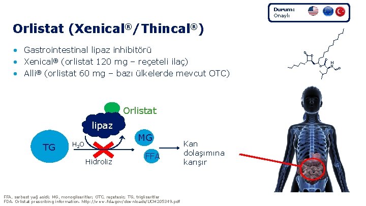 Durum: Onaylı Orlistat (Xenical®/Thincal®) • Gastrointestinal lipaz inhibitörü • Xenical® (orlistat 120 mg –