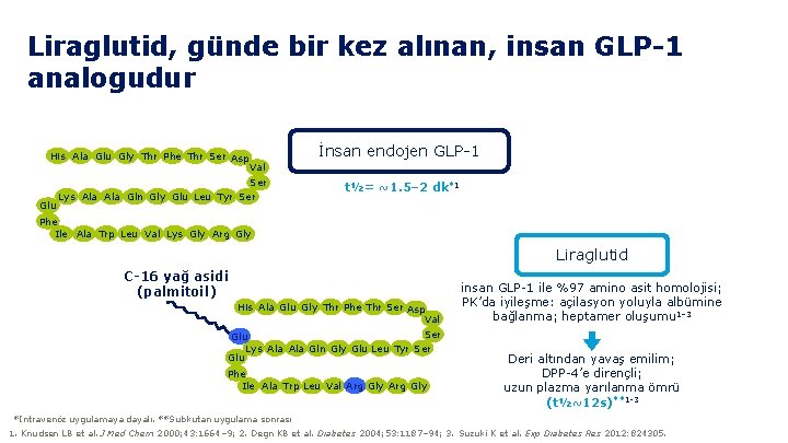 Liraglutid, günde bir kez alınan, insan GLP-1 analogudur His Ala Glu Gly Thr Phe