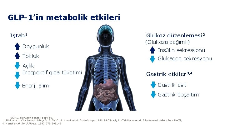GLP-1’in metabolik etkileri İştah 1 Doygunluk Tokluk Açlık Prospektif gıda tüketimi Enerji alımı Glukoz