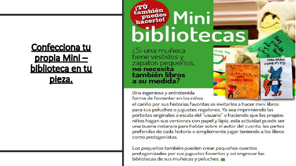 Confecciona tu propia Mini – biblioteca en tu pieza. 