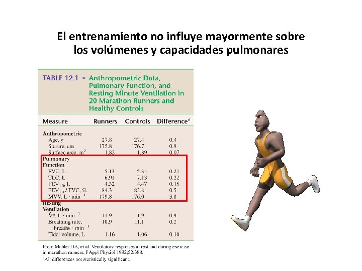 El entrenamiento no influye mayormente sobre los volúmenes y capacidades pulmonares 