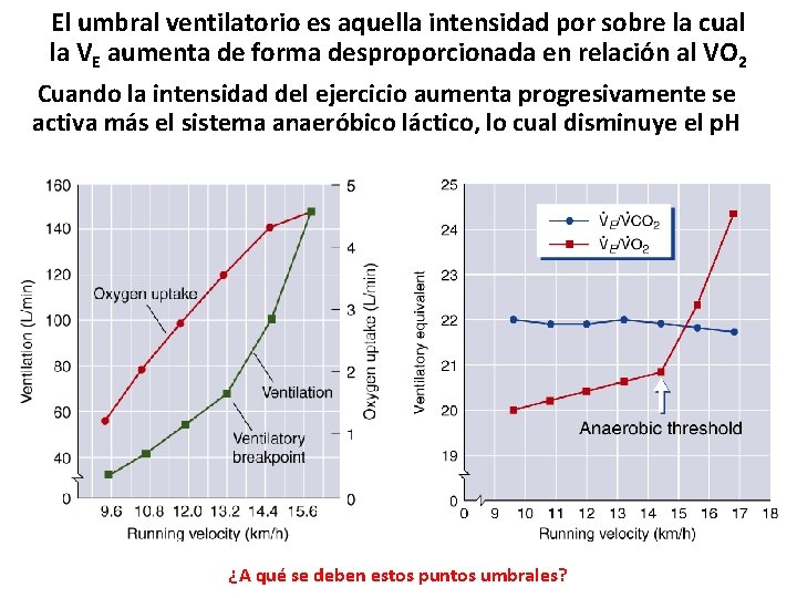 El umbral ventilatorio es aquella intensidad por sobre la cual la VE aumenta de