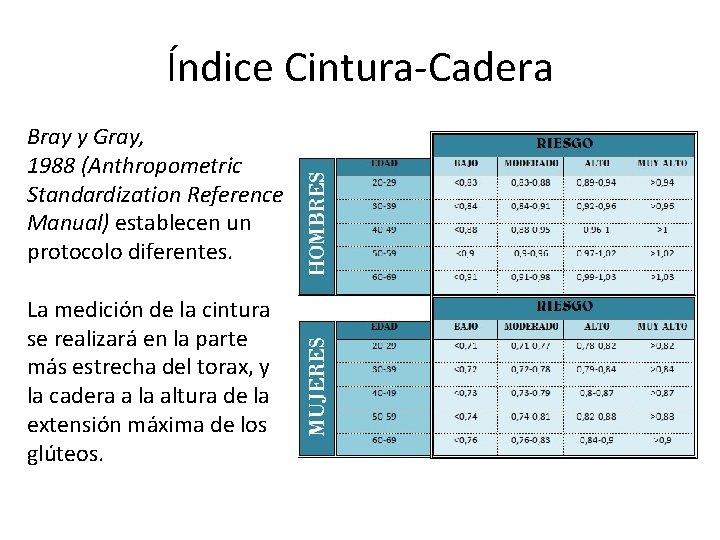 Índice Cintura-Cadera Bray y Gray, 1988 (Anthropometric Standardization Reference Manual) establecen un protocolo diferentes.
