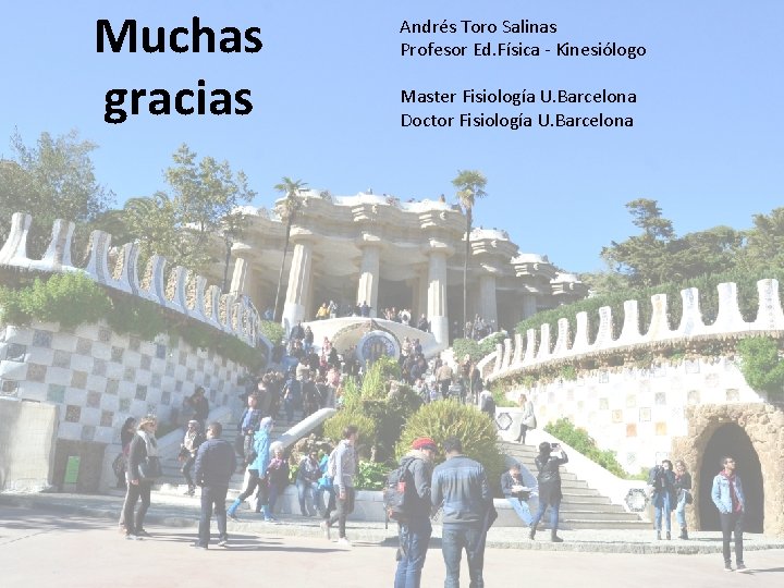 Muchas gracias Andrés Toro Salinas Profesor Ed. Física - Kinesiólogo Master Fisiología U. Barcelona