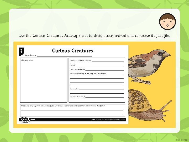 Use the Curious Creatures Activity Sheet to design your animal and complete its fact