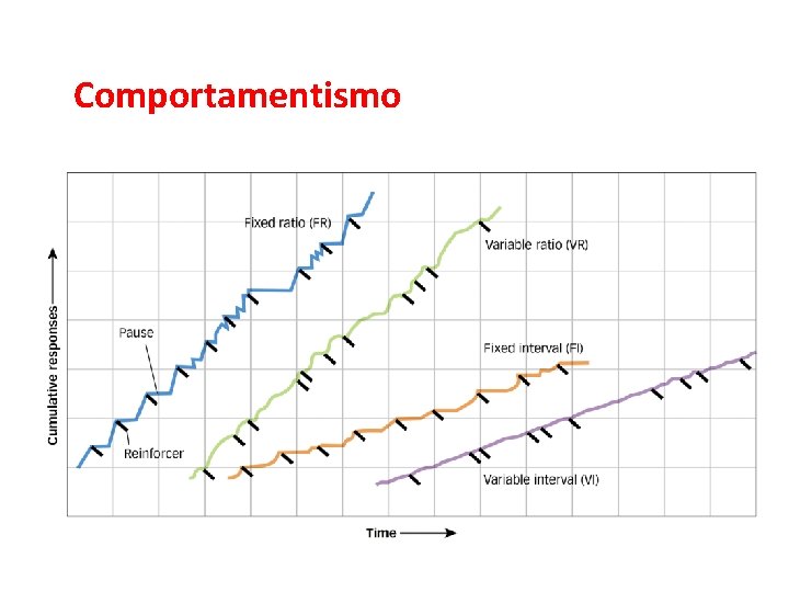 L’associazionismo e il comportamentismo Comportamentismo 