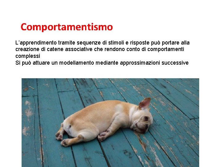 L’associazionismo e il comportamentismo Comportamentismo L’apprendimento tramite sequenze di stimoli e risposte può portare