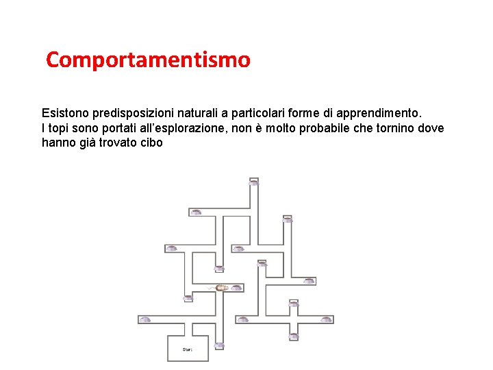 L’associazionismo e il comportamentismo Comportamentismo Esistono predisposizioni naturali a particolari forme di apprendimento. I