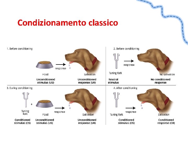 Condizionamento classico 