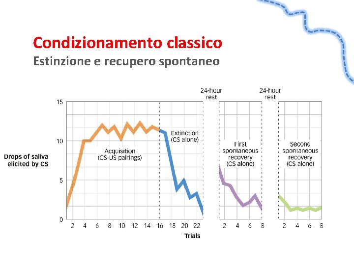 Condizionamento classico Estinzione e recupero spontaneo 