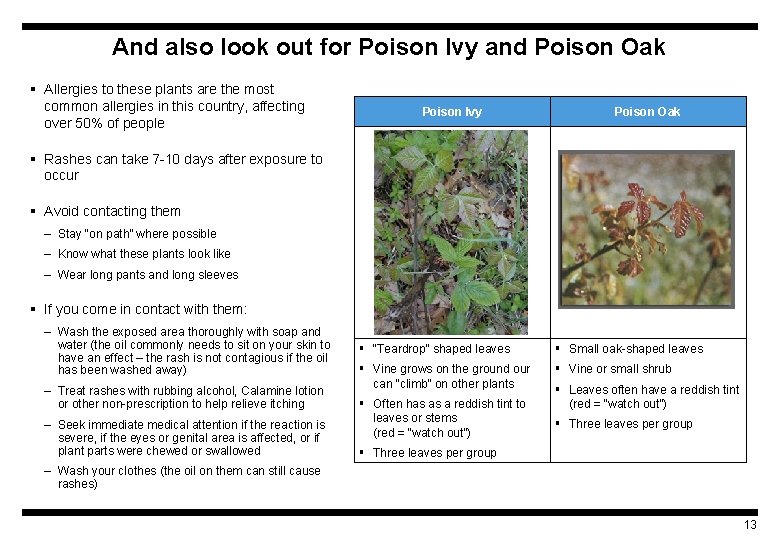 And also look out for Poison Ivy and Poison Oak § Allergies to these
