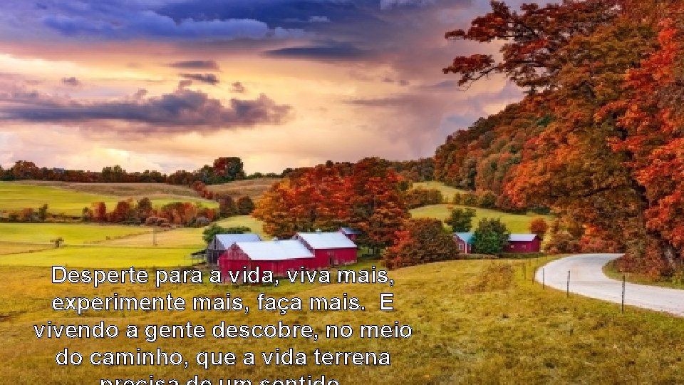 Desperte para a vida, viva mais, experimente mais, faça mais. E vivendo a gente