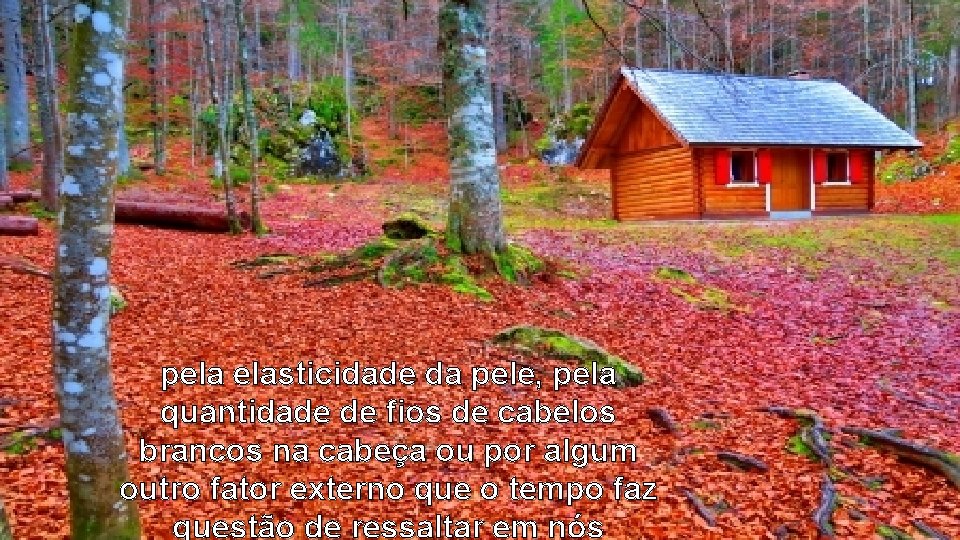 pela elasticidade da pele, pela quantidade de fios de cabelos brancos na cabeça ou