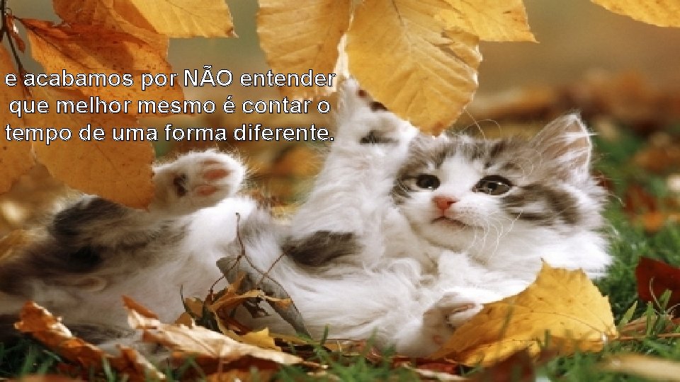 e acabamos por NÃO entender que melhor mesmo é contar o tempo de uma