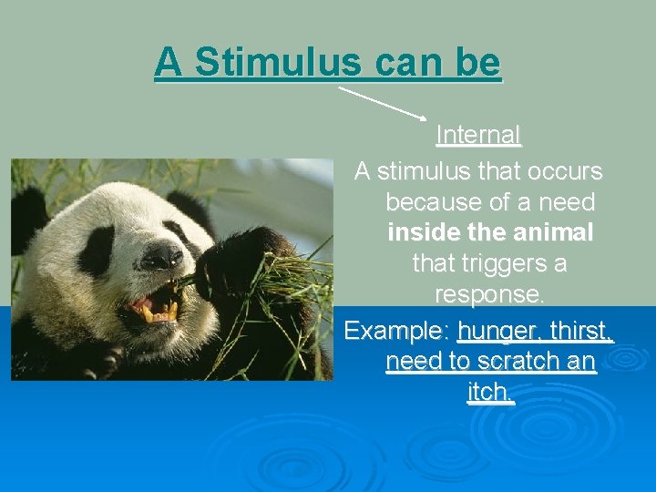 A Stimulus can be Internal A stimulus that occurs because of a need inside