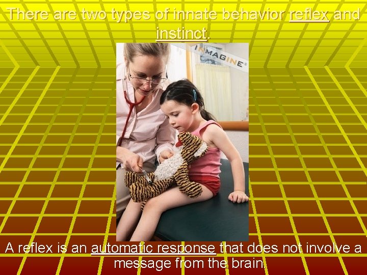 There are two types of innate behavior reflex and instinct. A reflex is an There are two types of innate behavior reflex and instinct. A reflex is an