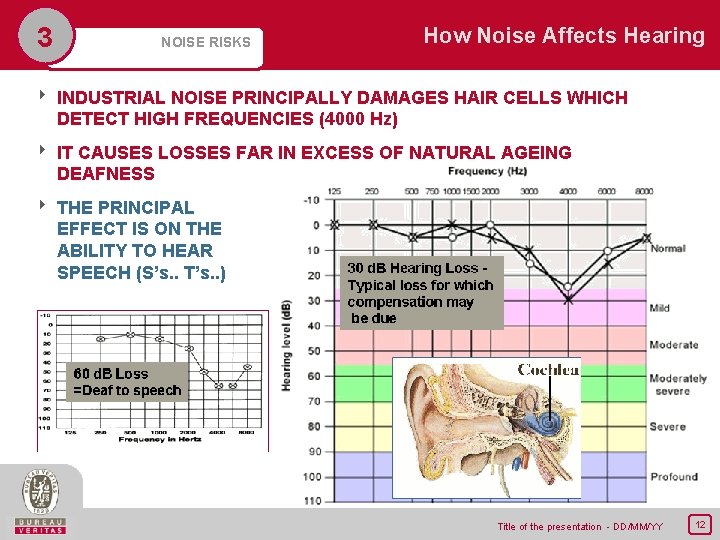 3 NOISE RISKS How Noise Affects Hearing 8 INDUSTRIAL NOISE PRINCIPALLY DAMAGES HAIR CELLS