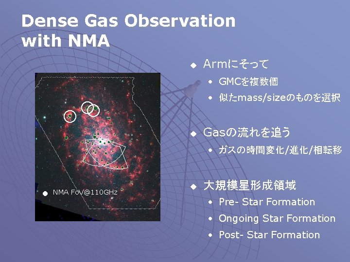 Dense Gas Observation with NMA u Armにそって • GMCを複数個 • 似たmass/sizeのものを選択 u Gasの流れを追う •