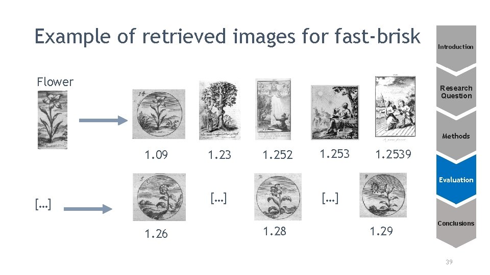 Example of retrieved images for fast-brisk Flower Introduction Research Question Methods 1. 09 1.