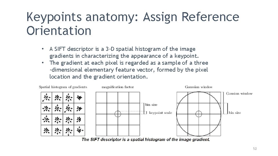 Keypoints anatomy: Assign Reference Orientation • A SIFT descriptor is a 3 -D spatial