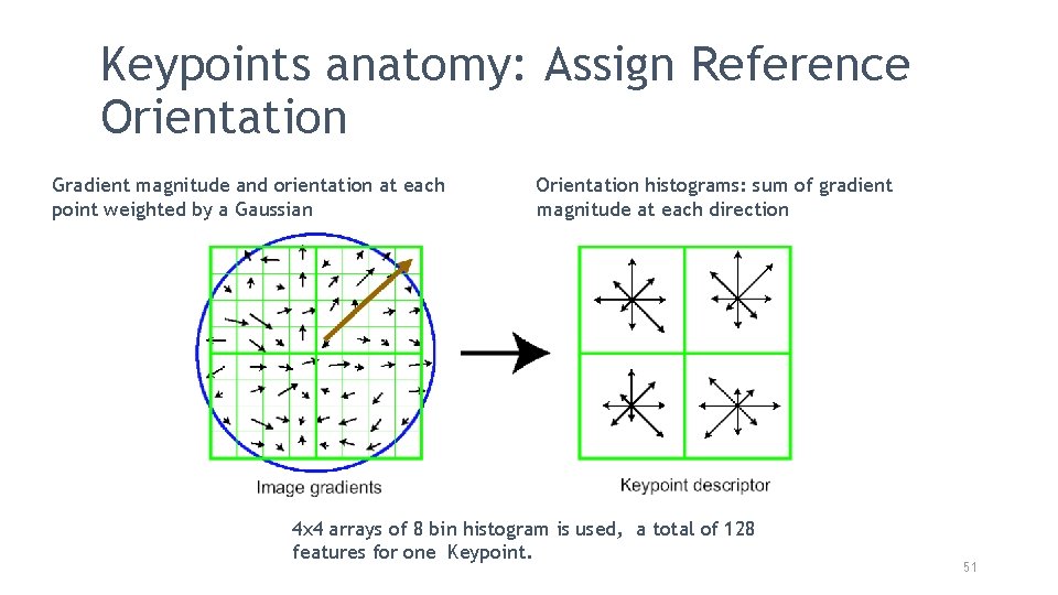 Keypoints anatomy: Assign Reference Orientation Gradient magnitude and orientation at each point weighted by