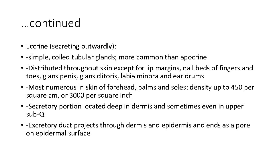 …continued • Eccrine (secreting outwardly): • -simple, coiled tubular glands; more common than apocrine