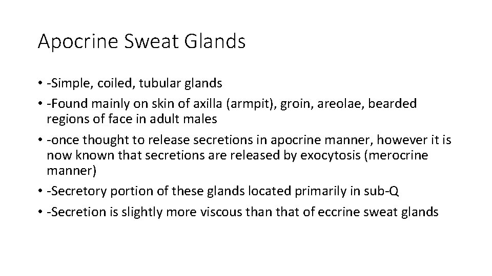 Apocrine Sweat Glands • -Simple, coiled, tubular glands • -Found mainly on skin of
