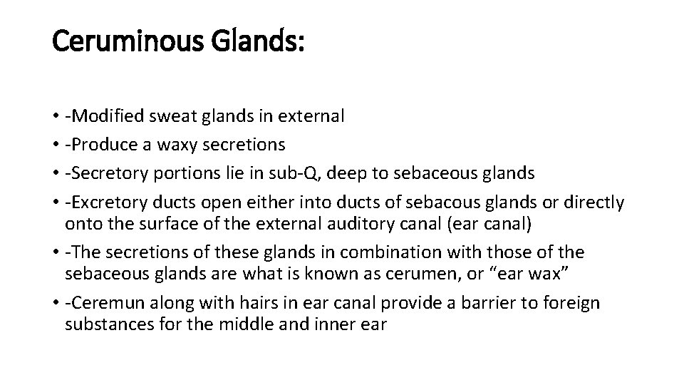 Ceruminous Glands: • -Modified sweat glands in external • -Produce a waxy secretions •