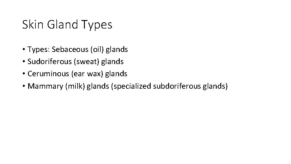 Skin Gland Types • Types: Sebaceous (oil) glands • Sudoriferous (sweat) glands • Ceruminous
