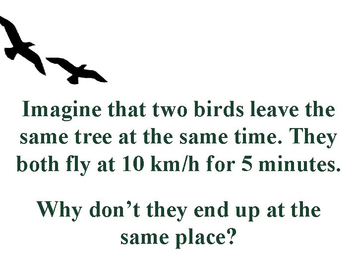 Imagine that two birds leave the same tree at the same time. They both