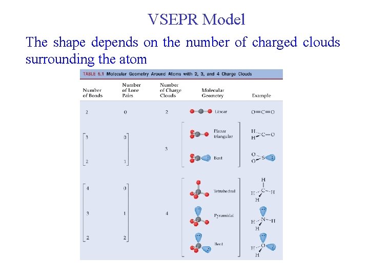 VSEPR Model The shape depends on the number of charged clouds surrounding the atom