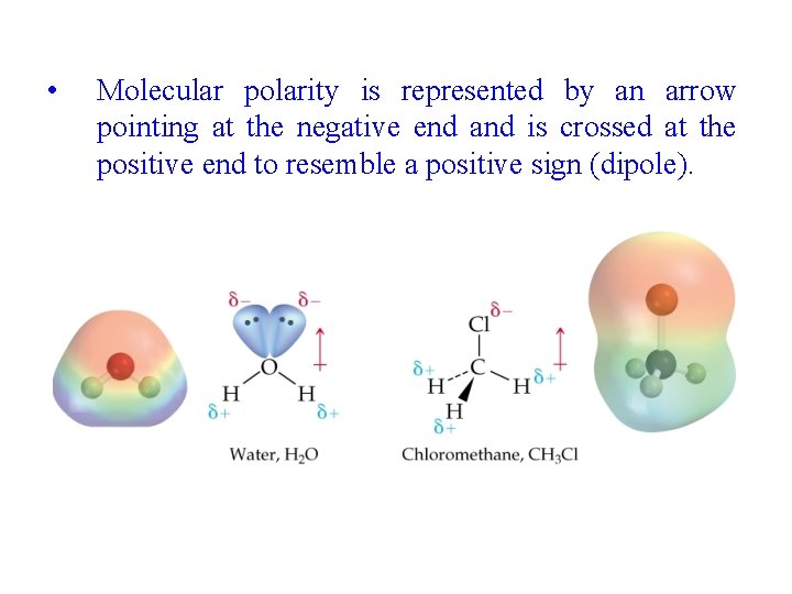  • Molecular polarity is represented by an arrow pointing at the negative end