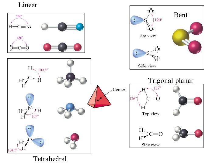 Linear Bent Trigonal planar Tetrahedral 