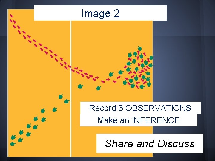 Image 2 Record 3 OBSERVATIONS Make an INFERENCE Share and Discuss 