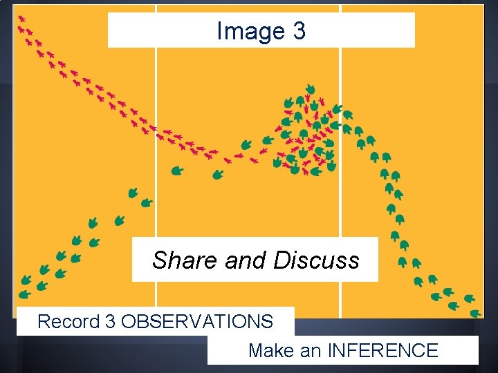 Image 3 Share and Discuss Record 3 OBSERVATIONS Make an INFERENCE 